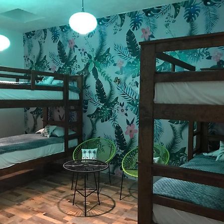Hoja Santa Hostal Boutique 乔卢拉 外观 照片