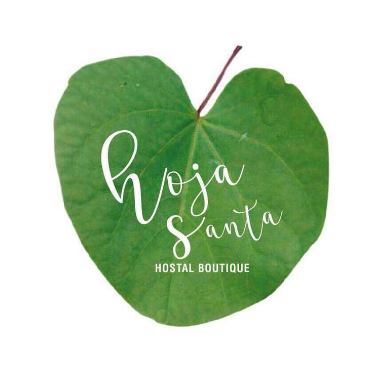 Hoja Santa Hostal Boutique 乔卢拉 外观 照片