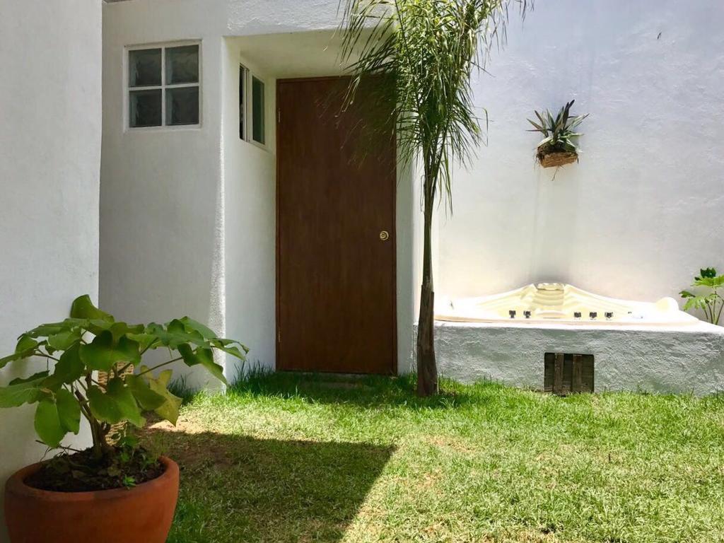 Hoja Santa Hostal Boutique 乔卢拉 外观 照片