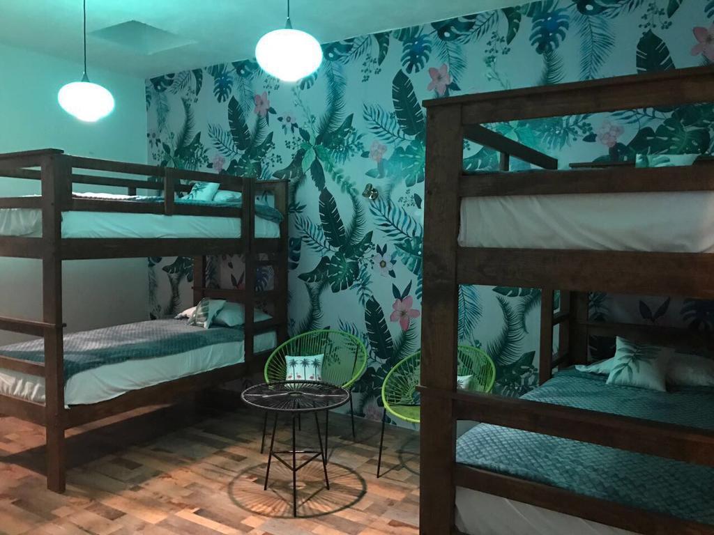 Hoja Santa Hostal Boutique 乔卢拉 外观 照片