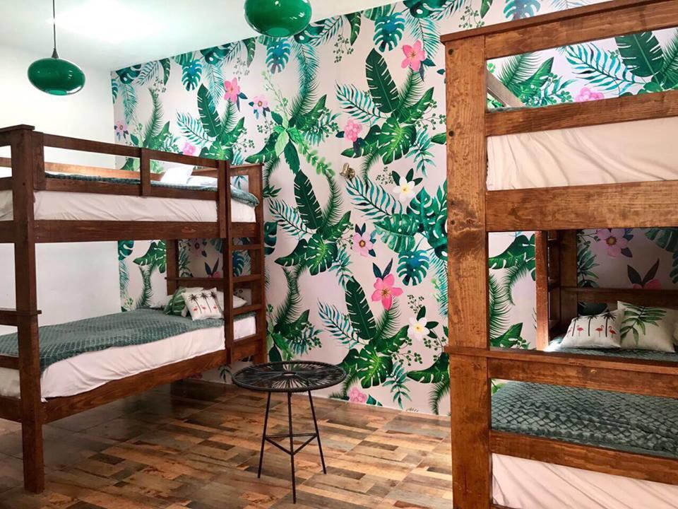 Hoja Santa Hostal Boutique 乔卢拉 外观 照片