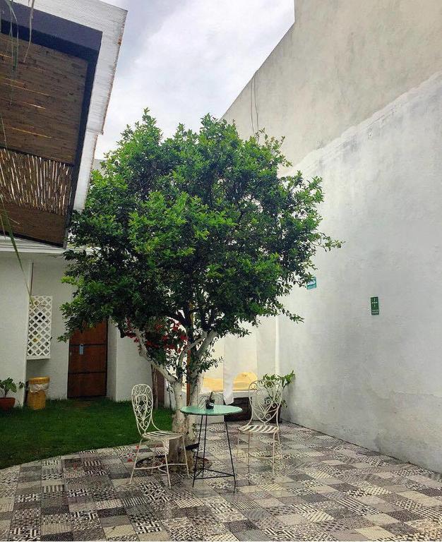 Hoja Santa Hostal Boutique 乔卢拉 外观 照片