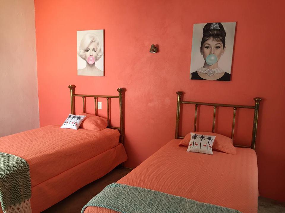 Hoja Santa Hostal Boutique 乔卢拉 外观 照片