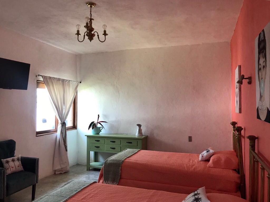 Hoja Santa Hostal Boutique 乔卢拉 外观 照片